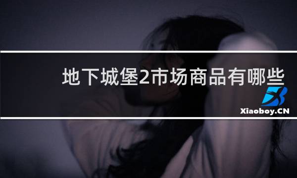 地下城堡2市场商品有哪些