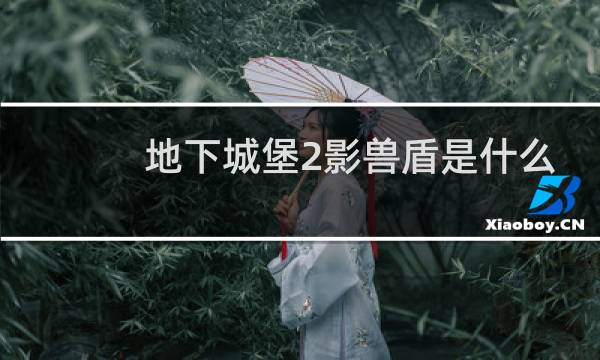 地下城堡2影兽盾是什么
