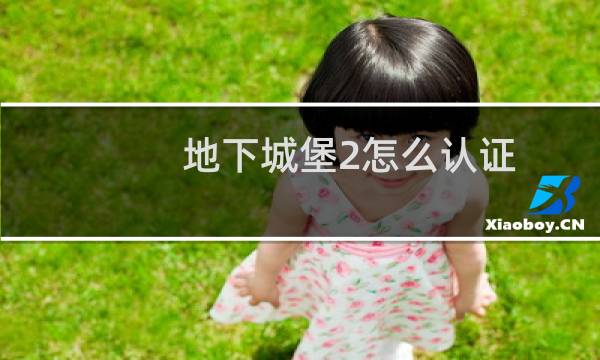 地下城堡2怎么认证