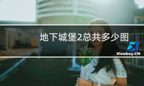 地下城堡2总共多少图