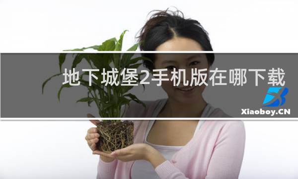 地下城堡2手机版在哪下载