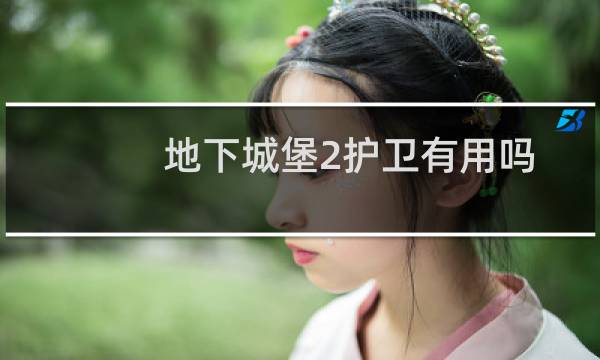 地下城堡2护卫有用吗