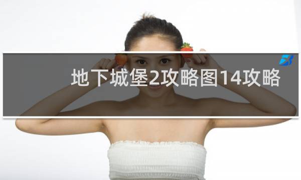 地下城堡2攻略图14攻略