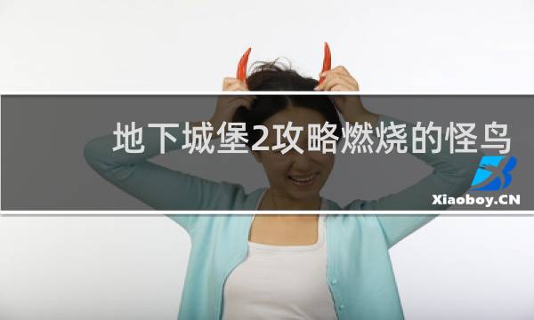 地下城堡2攻略燃烧的怪鸟