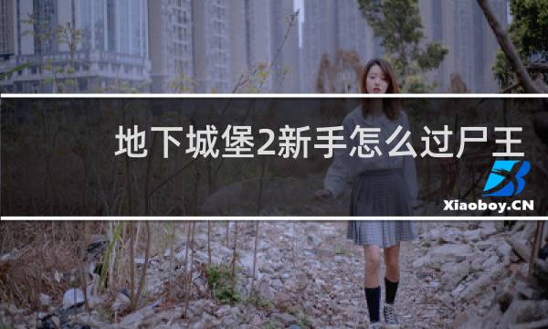 地下城堡2新手怎么过尸王