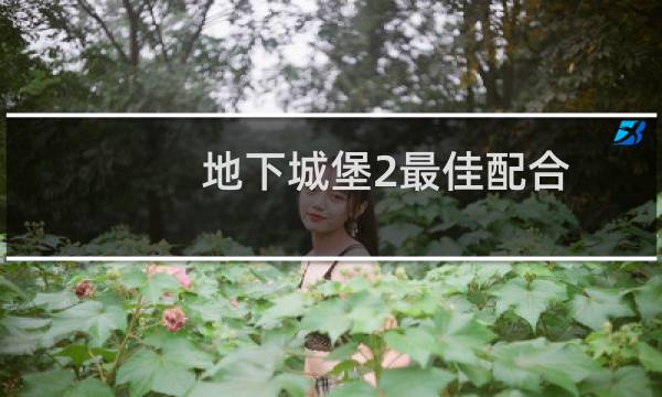 地下城堡2最佳配合