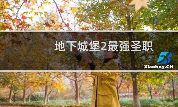 地下城堡2最强圣职