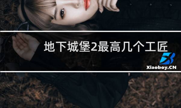 地下城堡2最高几个工匠