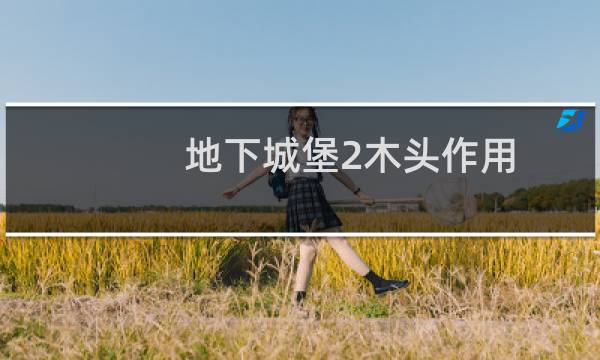 地下城堡2木头作用