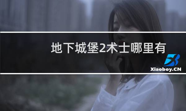 地下城堡2术士哪里有