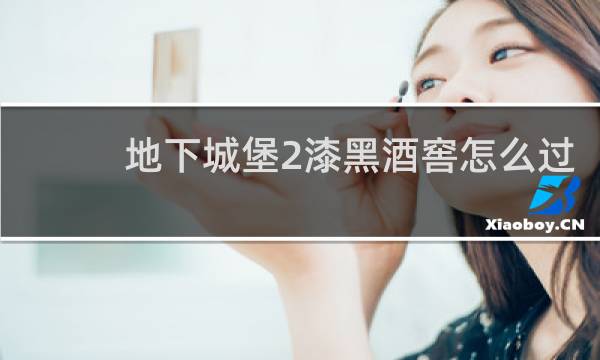 地下城堡2漆黑酒窖怎么过