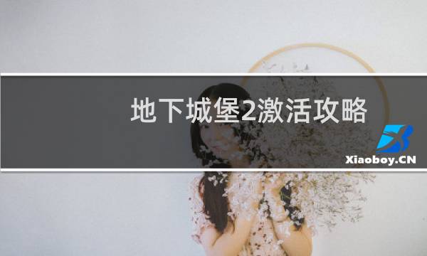 地下城堡2激活攻略