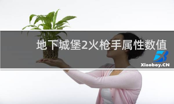 地下城堡2火枪手属性数值