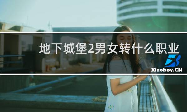 地下城堡2男女转什么职业