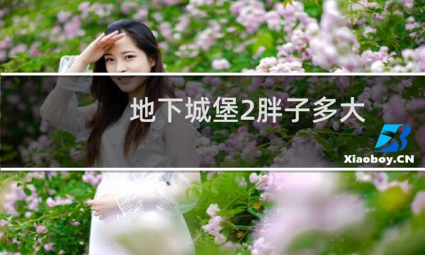 地下城堡2胖子多大