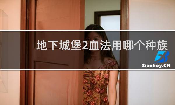地下城堡2血法用哪个种族