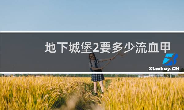 地下城堡2要多少流血甲