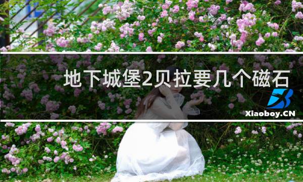 地下城堡2贝拉要几个磁石