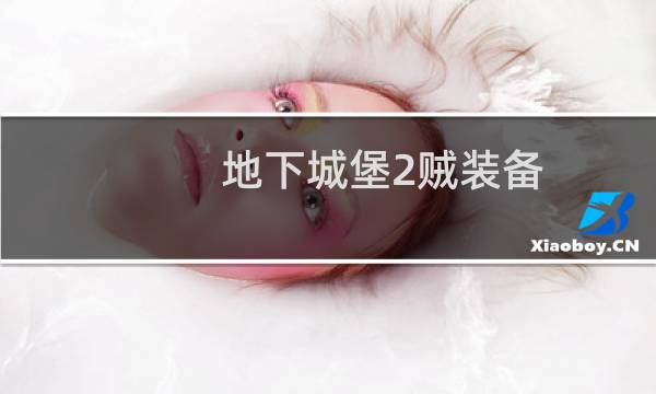 地下城堡2贼装备