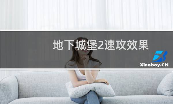 地下城堡2速攻效果