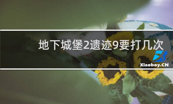 地下城堡2遗迹9要打几次