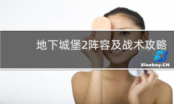 地下城堡2阵容及战术攻略