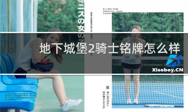 地下城堡2骑士铭牌怎么样