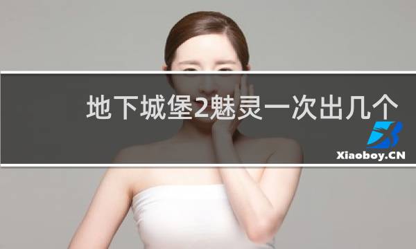 地下城堡2魅灵一次出几个