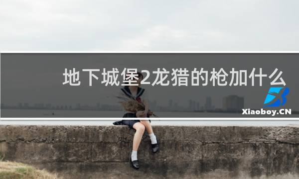 地下城堡2龙猎的枪加什么