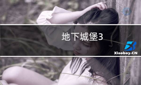 地下城堡3 角色重置时间