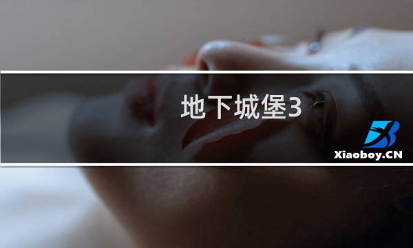 地下城堡3 金币有什么用