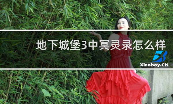 地下城堡3中冥灵录怎么样