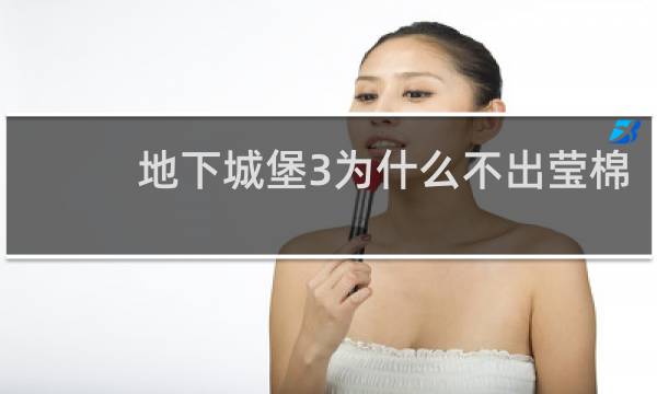地下城堡3为什么不出莹棉