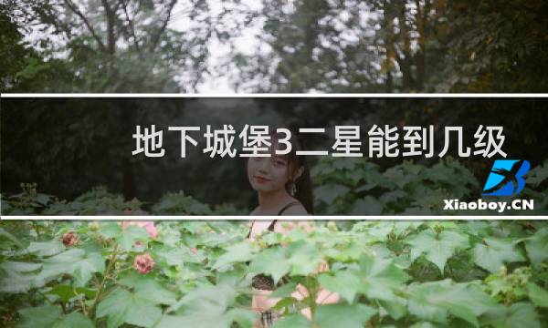地下城堡3二星能到几级