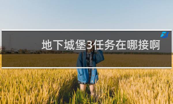 地下城堡3任务在哪接啊