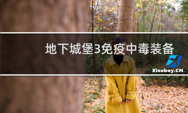 地下城堡3免疫中毒装备