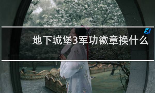 地下城堡3军功徽章换什么