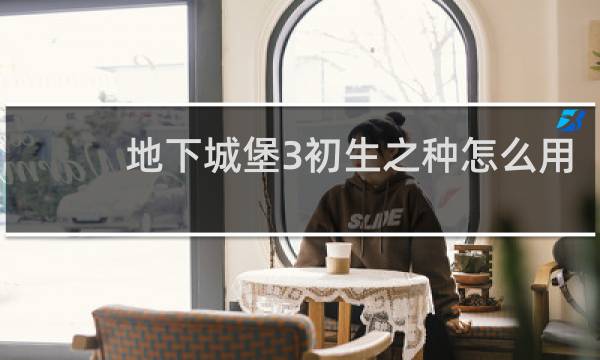 地下城堡3初生之种怎么用