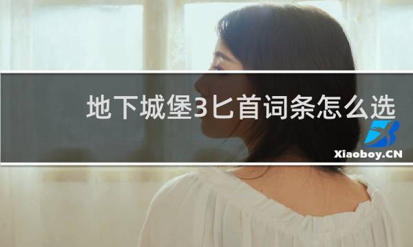 地下城堡3匕首词条怎么选
