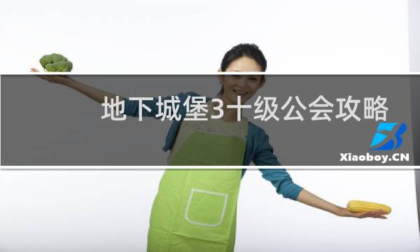 地下城堡3十级公会攻略