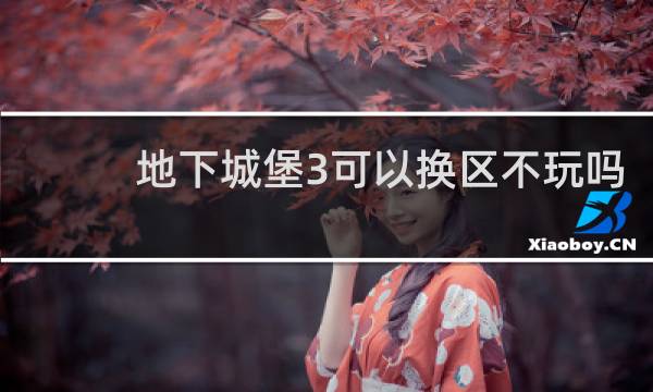 地下城堡3可以换区不玩吗