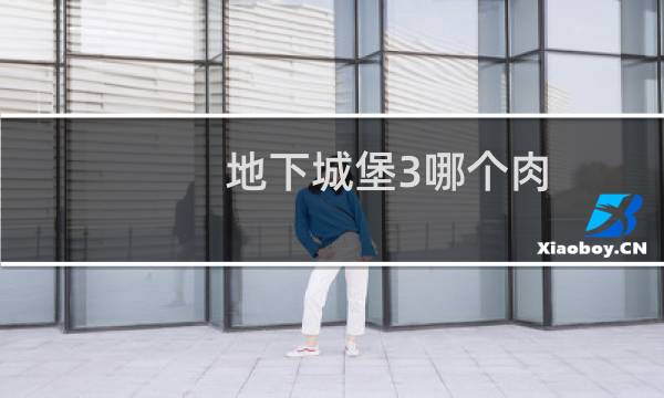 地下城堡3哪个肉