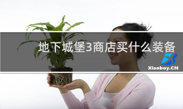 地下城堡3商店买什么装备