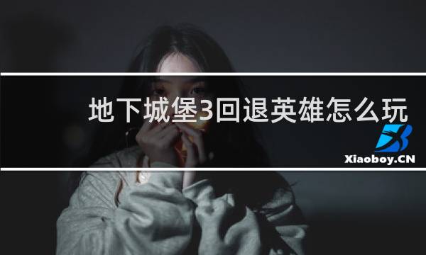 地下城堡3回退英雄怎么玩