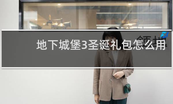 地下城堡3圣诞礼包怎么用