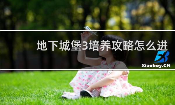 地下城堡3培养攻略怎么进