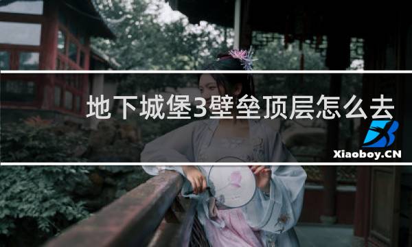 地下城堡3壁垒顶层怎么去