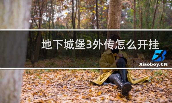 地下城堡3外传怎么开挂