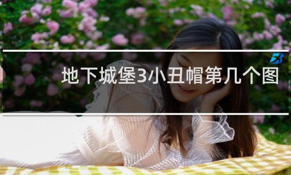 地下城堡3小丑帽第几个图