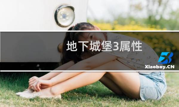 地下城堡3属性